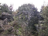 rruggeri-201011121 054